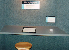 visual acuity