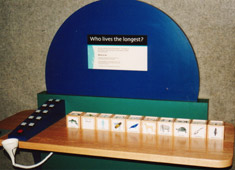 lifespan blocks