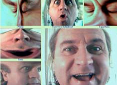 mercator your face