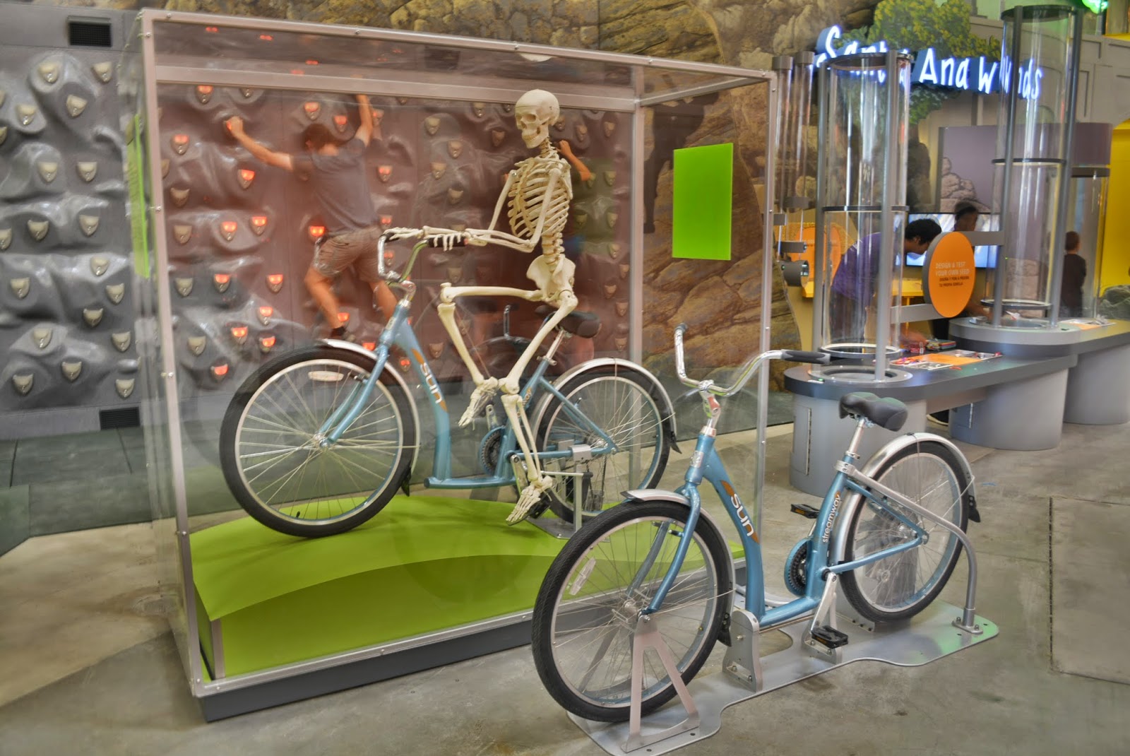 skeleton on a bike
